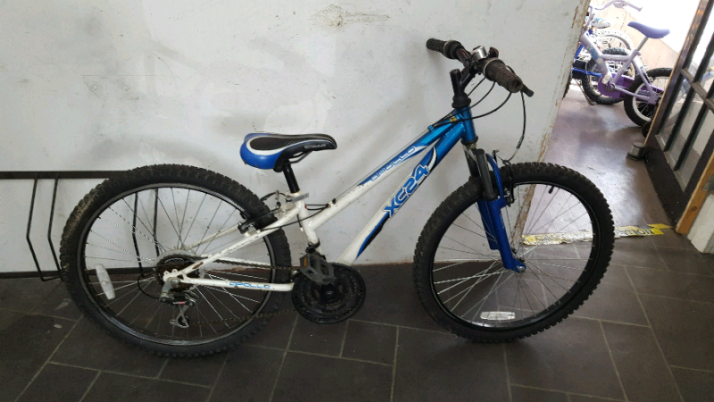 apollo xc 24 mountain bike